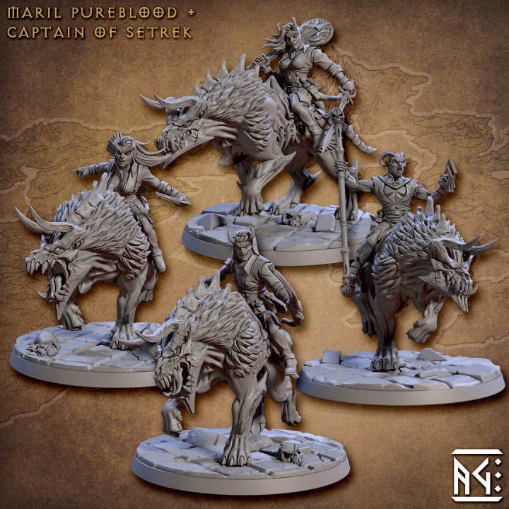 Baal's Demonhound Riders - 4 Modular Unit without Hoods