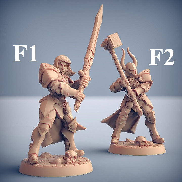 Human Fighters Guild - 5 Modular Unit with Helmets