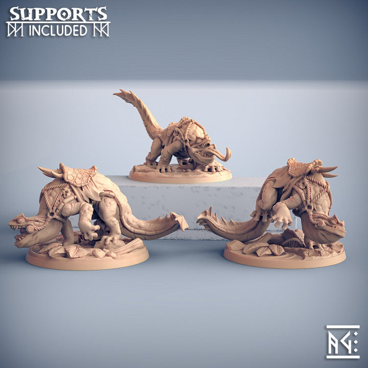 Salamander Riders - 3 Modular Unit