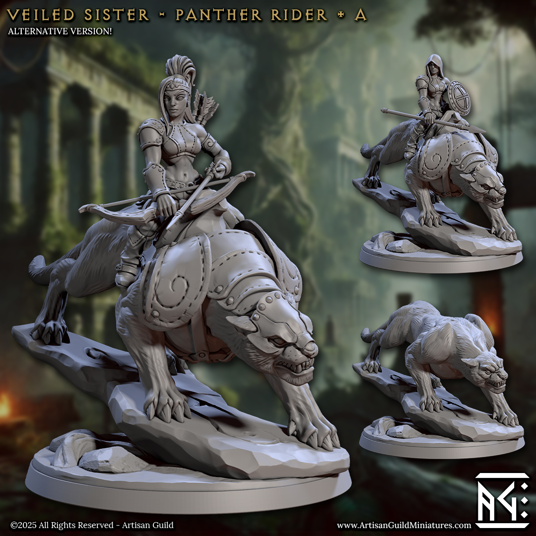 Veiled Sister Panther Riders - 4 Modular Unit