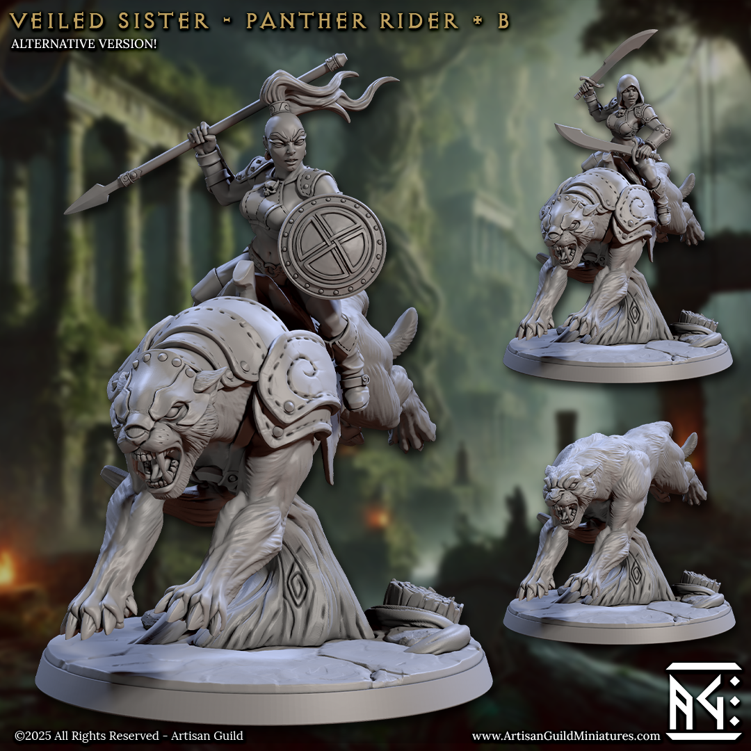 Veiled Sister Panther Riders - 4 Modular Unit