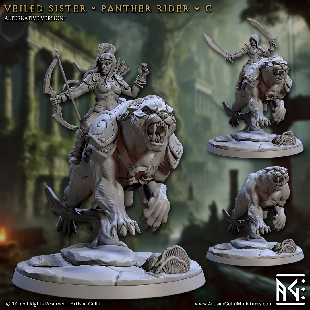 Veiled Sister Panther Riders - 4 Modular Unit