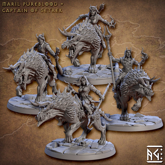 Baal's Demonhound Riders - 4 Modular Unit with Hoods