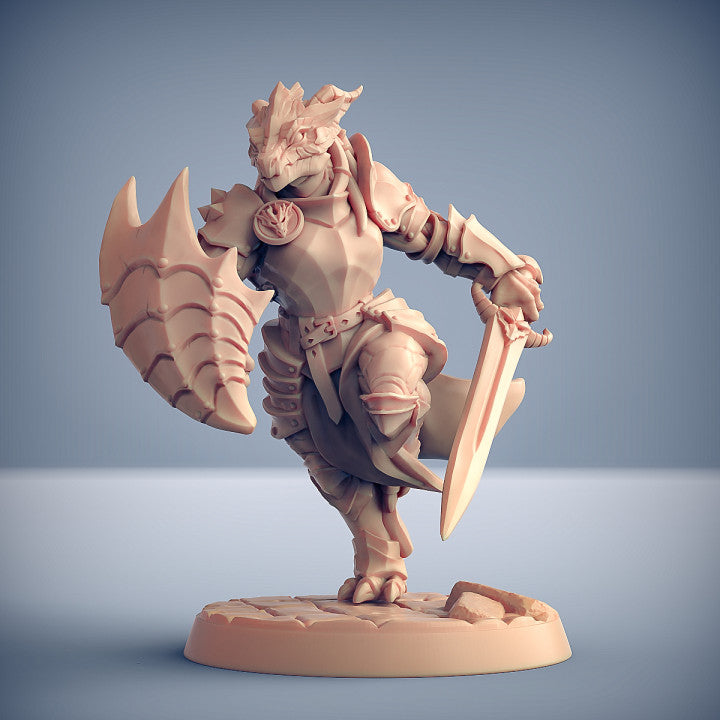 Dragonguard - 6 Modular Unit