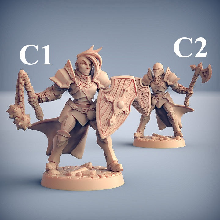 Human Fighters Guild - 5 Modular Unit with Helmets