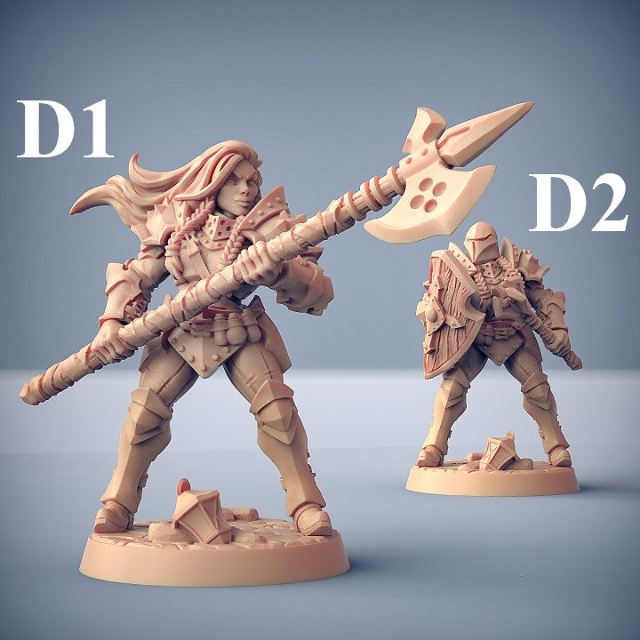 Human Fighters Guild - 5 Modular Unit with Helmets