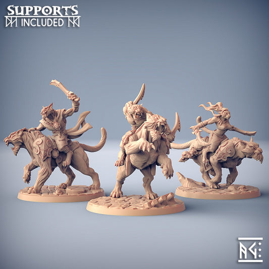 Rakshatiger Riders - 3 Modular Unit