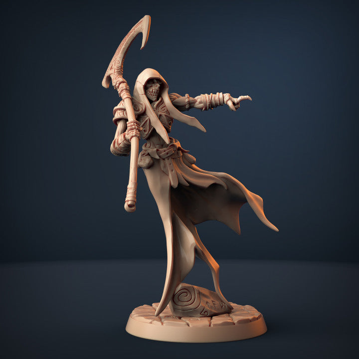 Skutagaard Wraiths - 4 Modular Unit