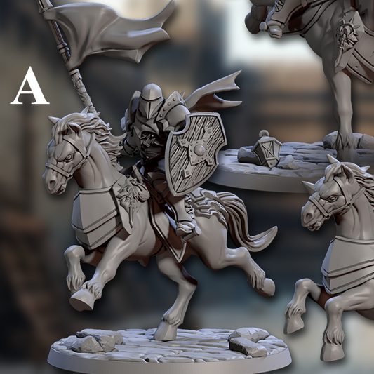 Fighters Guild Riders - 3 Modular Unit with Helmets